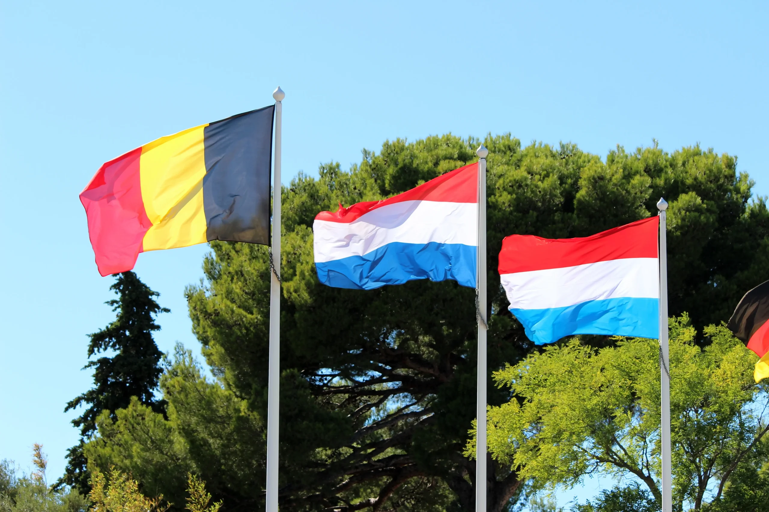 Flagi Belgii, Holandii i Luksemburga – transport międzynarodowy z Niemiec do Europy Zachodniej
